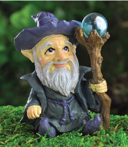 Wizard Fairy Garden - Fiddlehead